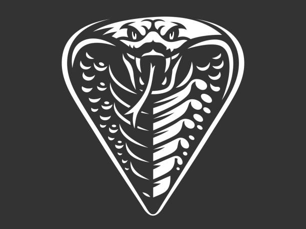 ilustraciones, imágenes clip art, dibujos animados e iconos de stock de cabeza vectorial de una serpiente, ilustración de cobra real, impresión, diseño de emblema sobre un fondo oscuro - cobra rey