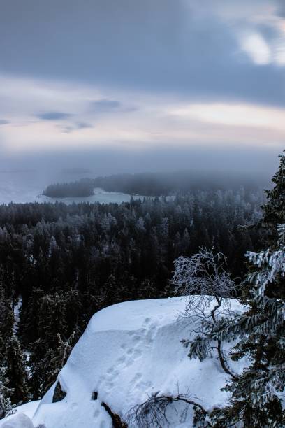 istock Koli national park, Finland. 1208751851