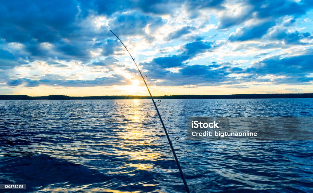 Fishing Rod Silhouette During Sunset Fishing Pole Against Ocean At
