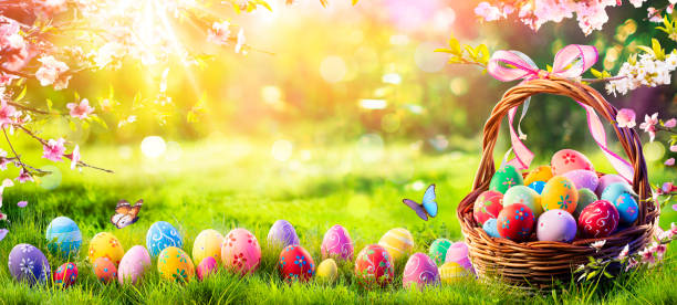 pasen - geschilderde eieren in mand op gras in zonnige boomgaard - easter stockfoto's en -beelden