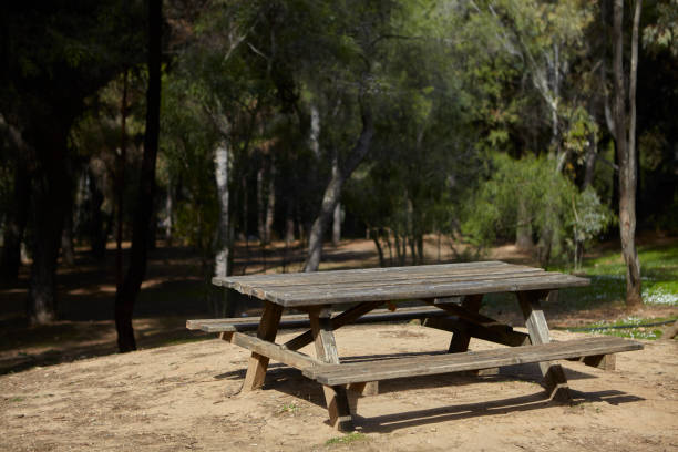 istock picnic table at a forest in greece 1208754298