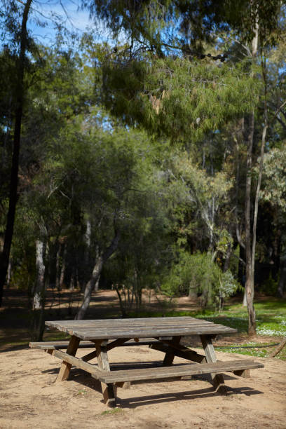 istock picnic table at a forest in greece 1208755181