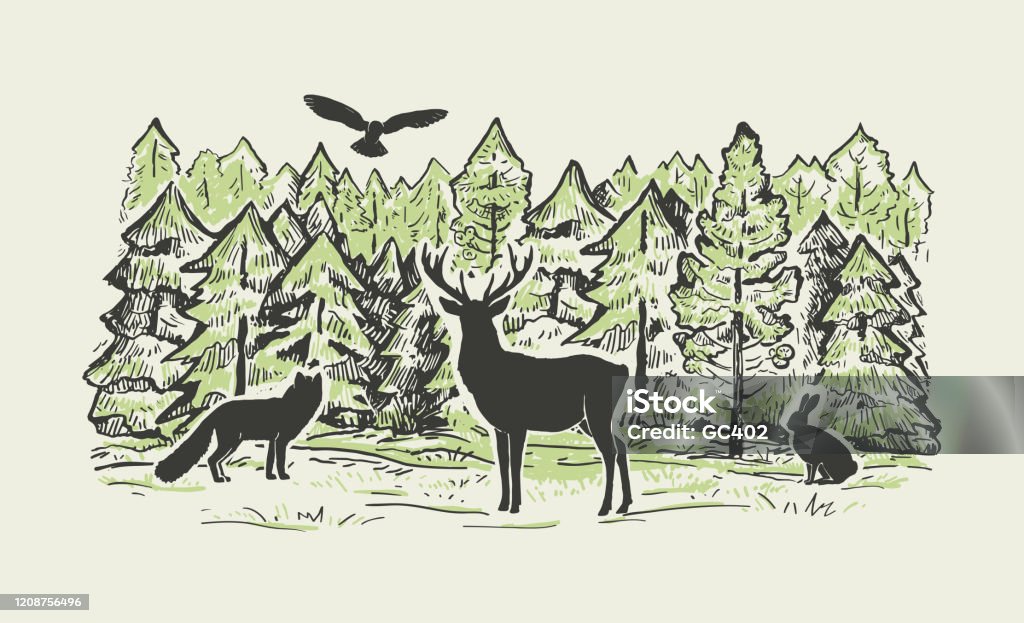Sketch Vector Landscape With Coniferous Forest And Animals Stock  Illustration - Download Image Now - iStock