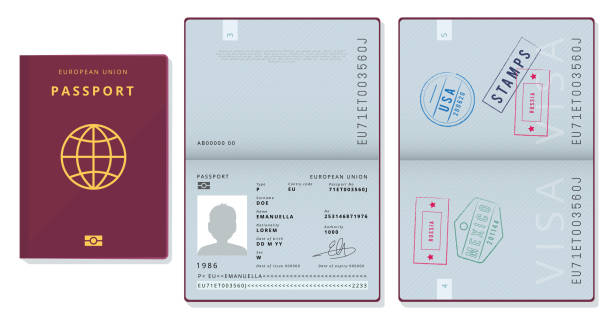 Passport template. Official id document visa sapling pages cards legal travel badges vector pictures Passport template. Official id document visa sapling pages cards legal travel badges vector pictures. Illustration official passport id, european union document passport stock illustrations