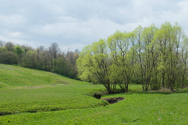 istock polish countryside picture 120875744