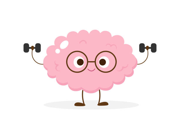 Cartoon brain lifting dumbbells vector Cartoon brain lifting dumbbells. Funny brain workout emoji vector. Mind exercise, memory, willpower and concentration training. practicing stock illustrations
