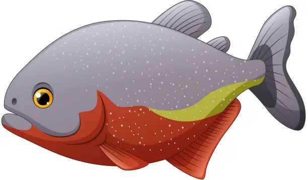 Vector illustration of Cartoon piranha fish isolated on white background