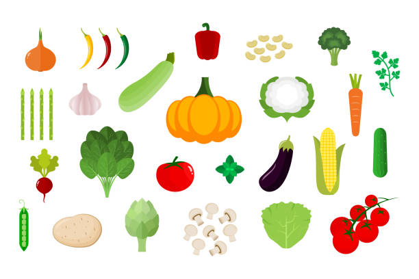야채 세트입니다. 다른 다채로운 야채 컬렉션입니다. 흰색 배경에 격리 된 신선한 농산물. - eggplant vegetable food white background stock illustrations