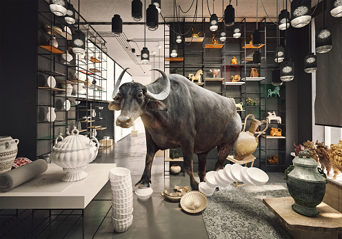 bull in a China shop. Photo and media mixed creative concept