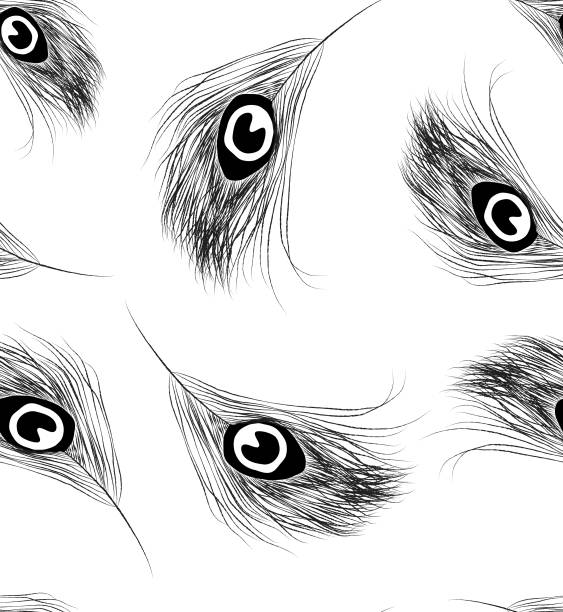ilustraciones, imágenes clip art, dibujos animados e iconos de stock de peacock plumas de dibujo de línea - patrón sin costuras. - peacock feather outline black and white