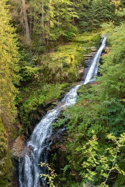 istock Waterfall of Kamienczyk river in Poland 1208772266