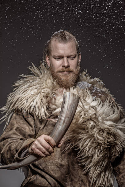 istock Portrait of a viking warrior 1208774921