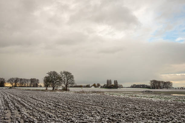 istock Dutch agricultural landscape in winter 1208776664