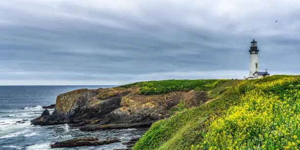 Photo of Panoramic landscape Yaquina Head Outstanding Natural Area with its lighthouse and rocky basaltic headlands, Oregon Coast, Newport, USA.