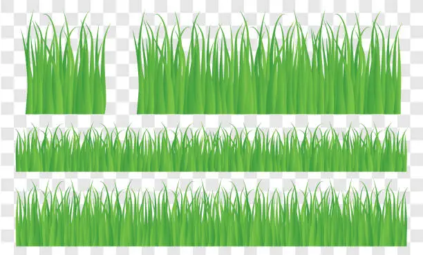 Vector illustration of Vector green lawn grass texture illustration: natural, organic, bio, eco label and shape on white background. Ground land pattern.