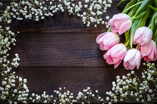 Top view of a pink tulips bunch on a dark brown wooden plank. The tulips are at the right top corner leaving a useful copy space on the wooden background. The image is framed by white little flowers.