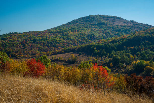 istock Mountain landscape of eastern Serbia 1208781095