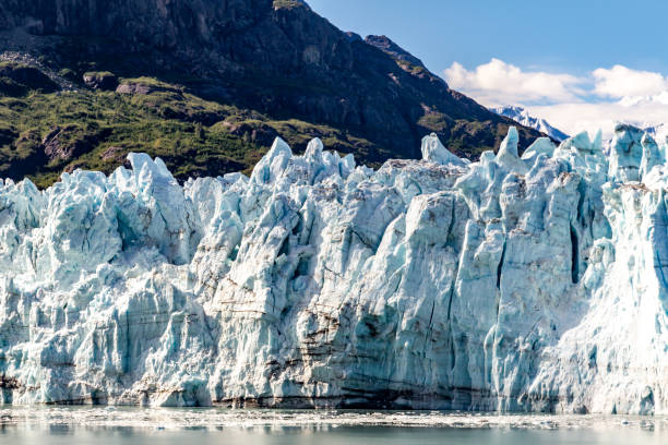 istock Glacier Bay National Park, Alaska, USA 1208782804