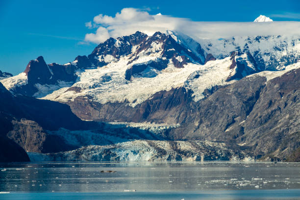 istock Glacier Bay National Park, Alaska, USA 1208782820