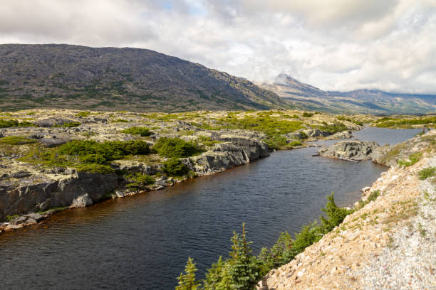 istock Tutschi River near Fraser - British Columbia between Alaska and Yukon, Canada 1208782829