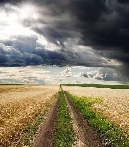 istock rural road in field 120878386