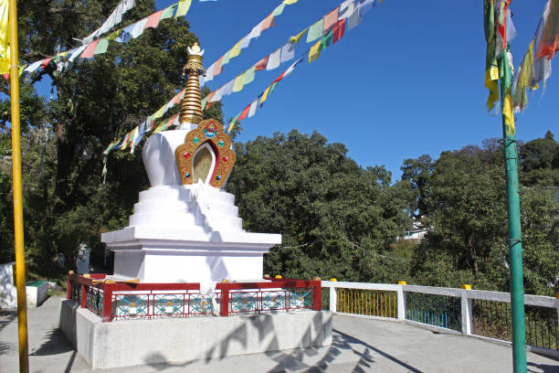 shedup choephelling templo budista stupa, mussoorie, uttarakhand, india - many colored prayer flags fotografías e imágenes de stock