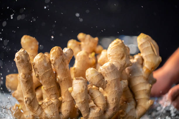 ginger, spice, chinese medicine, medicinal material - ginger spice chinese medicine freshness imagens e fotografias de stock