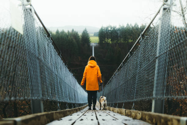 Woman and a dog walking at the suspension bridge enjoying the scenic view of German nature Young woman in orange raincoat and her small cute dog - pug breed hiking on the big and beautiful suspension bridge in Germany man walking a pug dog stock pictures, royalty-free photos & images