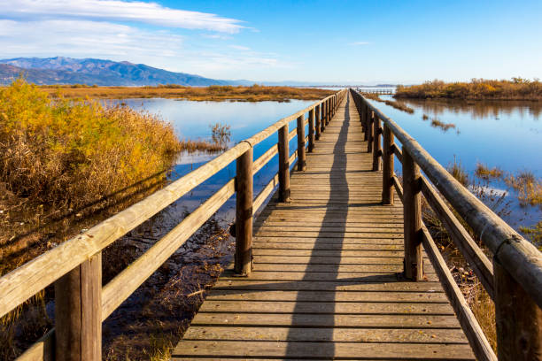 istock Lake Vistonida beautiful landscape 1208794110