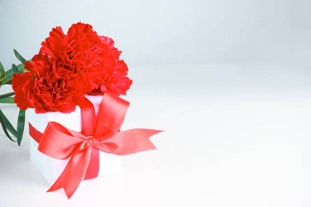 Three red carnation flowers and a gift in a white box with a red bow on a white background. Space for your text. Greeting card for a birthday or mother's day.
