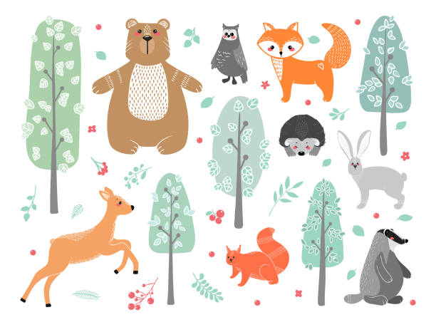 ilustrações, clipart, desenhos animados e ícones de animais fofos: raposa, texugo, esquilo, coruja, veado, doe, cervo de ovas, lebre, coelho, ouriço, urso e diferentes elementos. ilustração desenhada em estilo escandinavo. - scandic