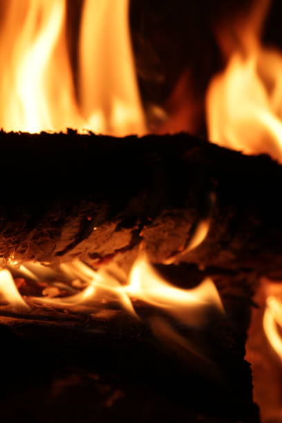istock Logs burning with flames in a fireplace 1208796469