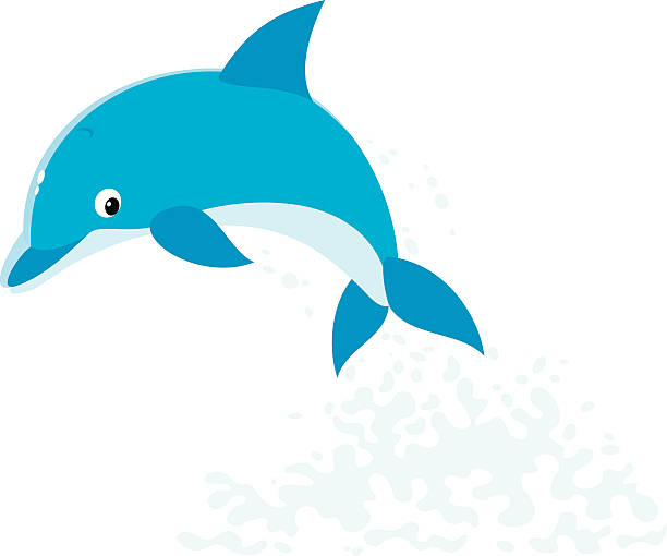 дельфин - dolphin porpoise mammal sea stock illustrations