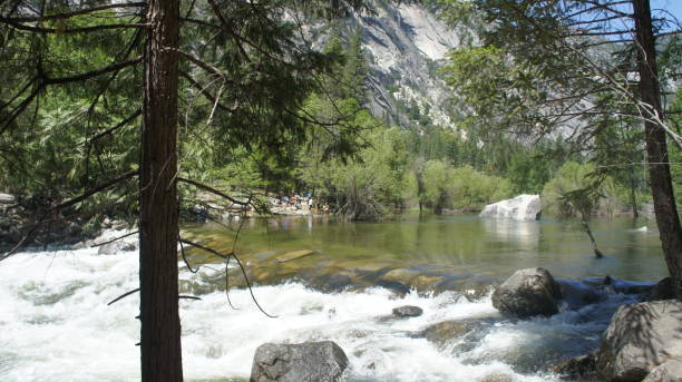 istock Forest and water in Yosemite 1208798744