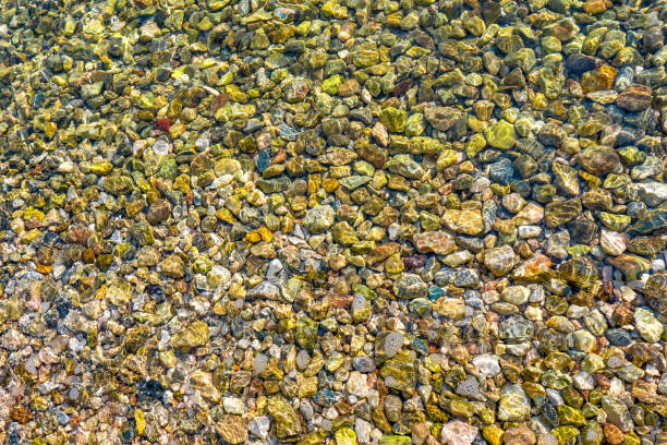 istock Seabed loop. Waves on the sandy beach. Waves hit the beach and slowly fades away, soft waves moving in and out, sunlight beach waves, sandy, bright, climate change. travel concept 1208801088