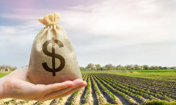Photo of Money bag on the background of agricultural crops in the hand of the farmer. Agricultural startups. Profit from agribusiness. Lending and subsidizing farmers. Grants and support. Land value and rent.