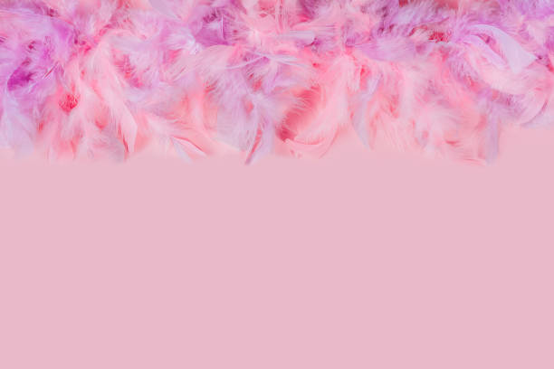 istock Soft and gentle pink and violet feathers boa on background with free copy space for text 1208804957