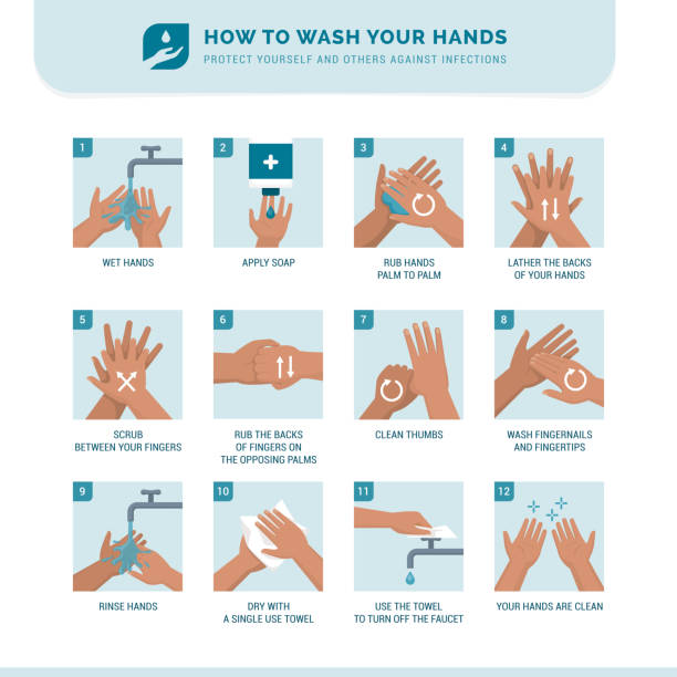 ilustrações de stock, clip art, desenhos animados e ícones de how to wash your hands - hand hygiene