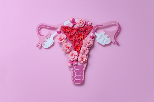 El sistema reproductivo de las mujeres. El concepto de salud de la mujer. Flores de papel photo