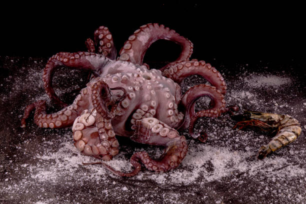 istock Big octopus with king prawn curly tentacle on black background 1208806837