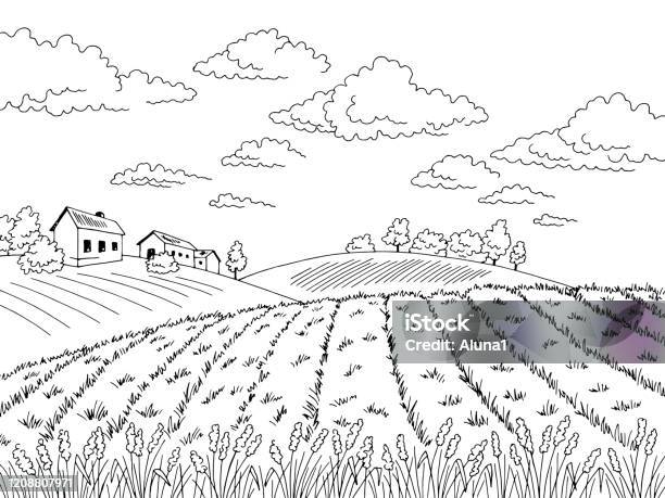 フィールドグラフィック黒白風景スケッチイラストベクトル - 線画のベクターアート素材や画像を多数ご用意 - 線画, 農園, 自然の景観