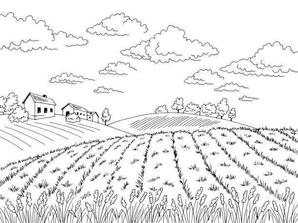 필드 그래픽 검정색 흰색 풍경 스케치 일러스트 벡터 - village landscape stock illustrations