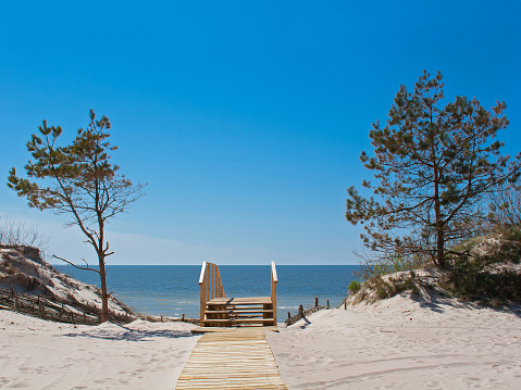 Calm sunny sea view with sand dunes and pine trees