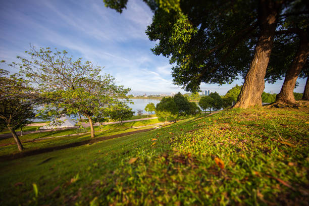 istock Sunrise at the lake, Malaysia 1208809818