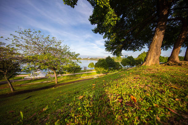 istock Sunrise at the lake, Malaysia 1208809967