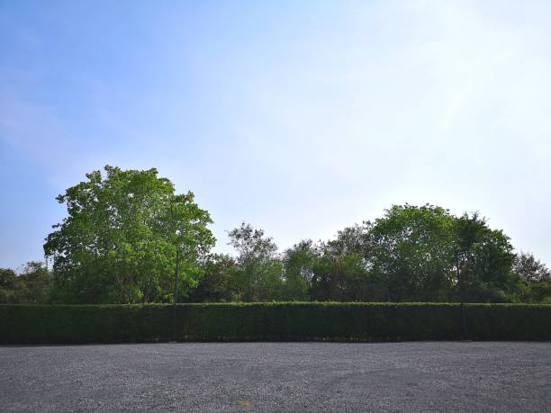 istock Parking lot sprinkled with gravel on tree bush nature background 1208810076