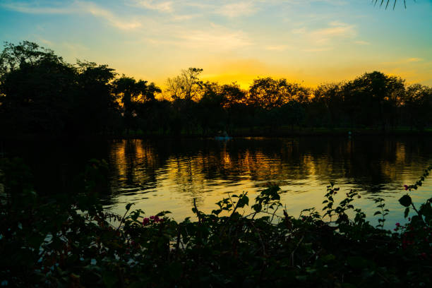 Sunset at park colorful sky cloud nature landscape tree forest