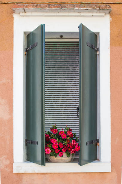 Window with flower in Burano Italy.