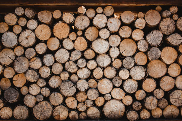 istock Background, texture of cut light woods 1208812237