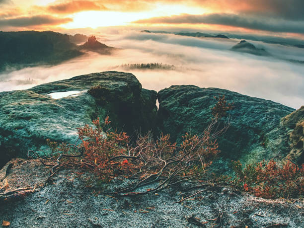 istock Broken Rocks and Crags in the nature park in Saxony. 1208813382